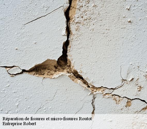 Réparation de fissures et micro-fissures  routot-27350 Entreprise Robert