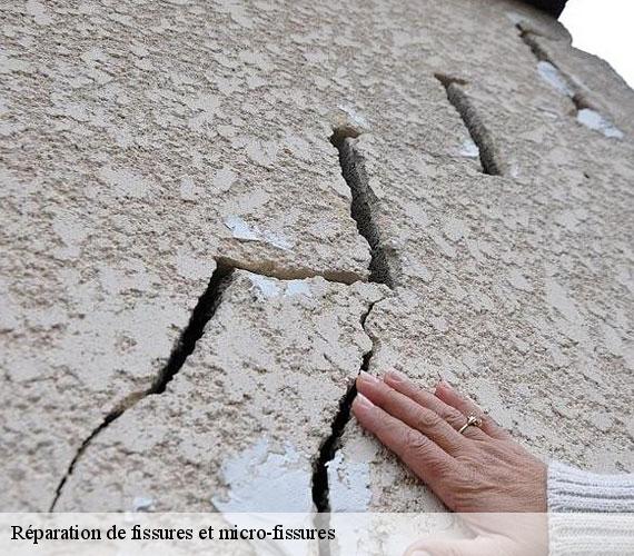 Réparation de fissures et micro-fissures  saint-didier-des-bois-27370 Entreprise Robert