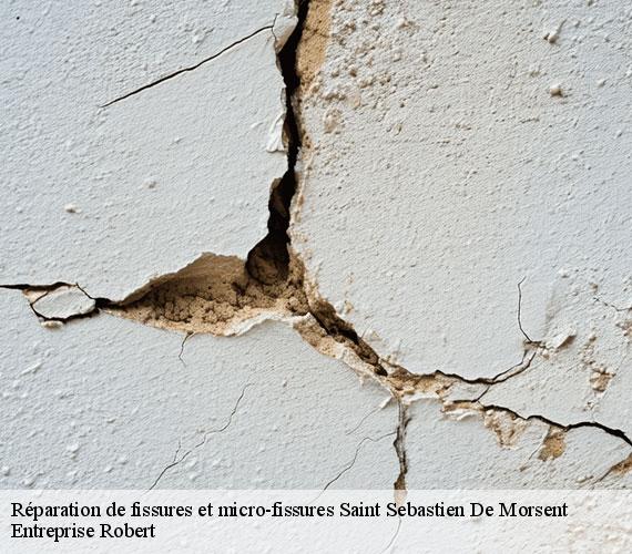 Réparation de fissures et micro-fissures  saint-sebastien-de-morsent-27180 Entreprise Robert